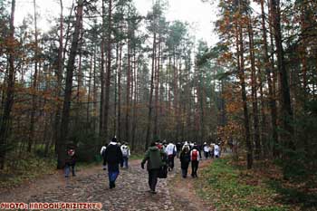 IMG_ (10176)